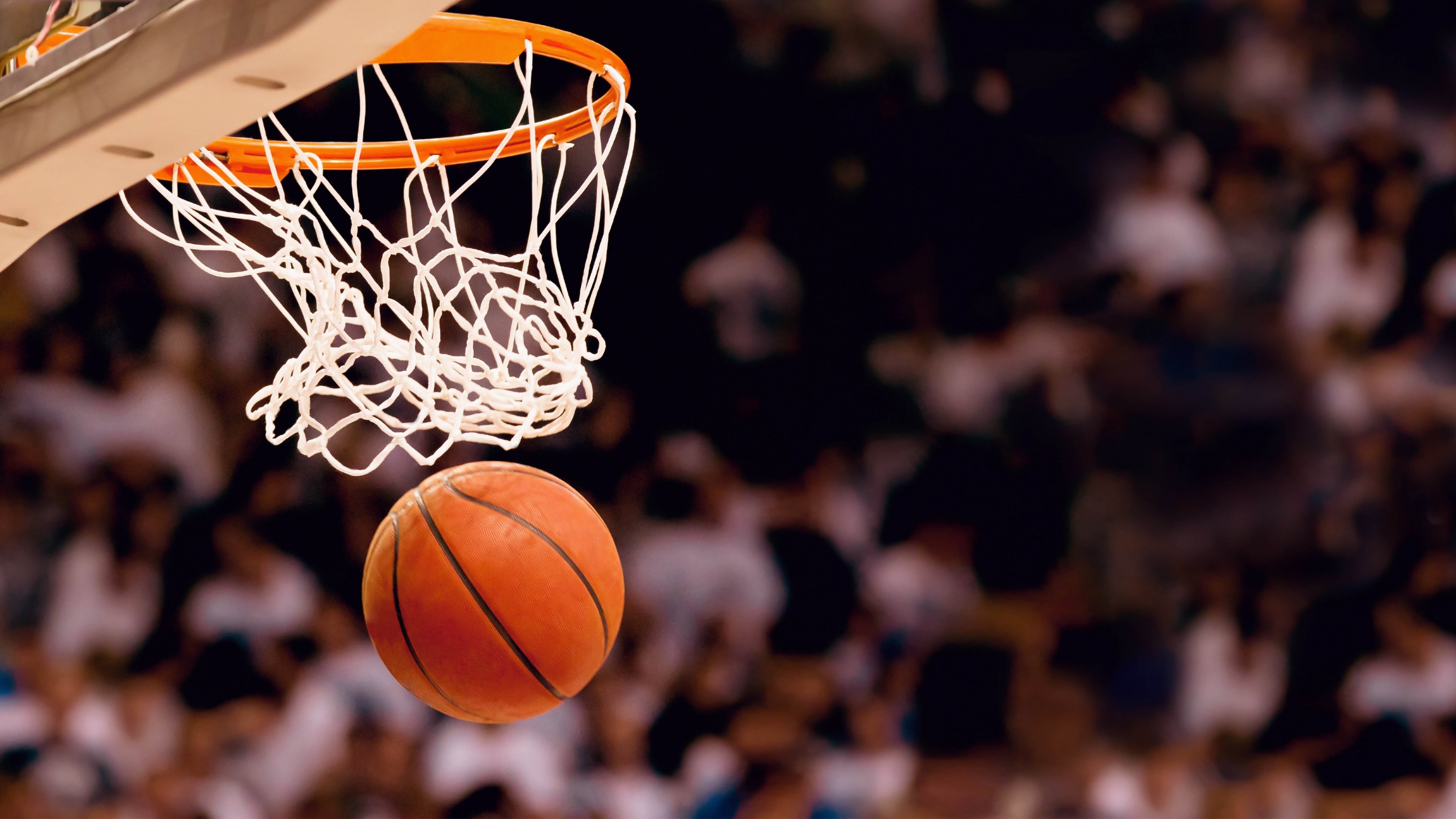 传奇之路：那些从童年梦想到NBA的励志故事，nba励志故事作文素材